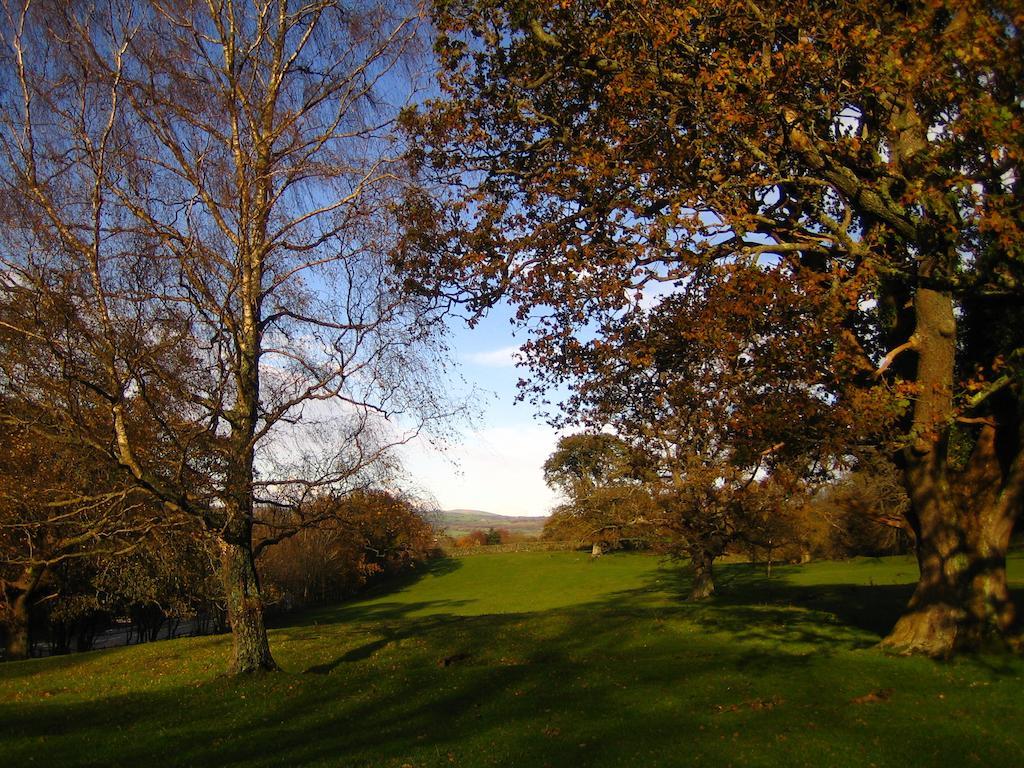 The Park Hill 4*
