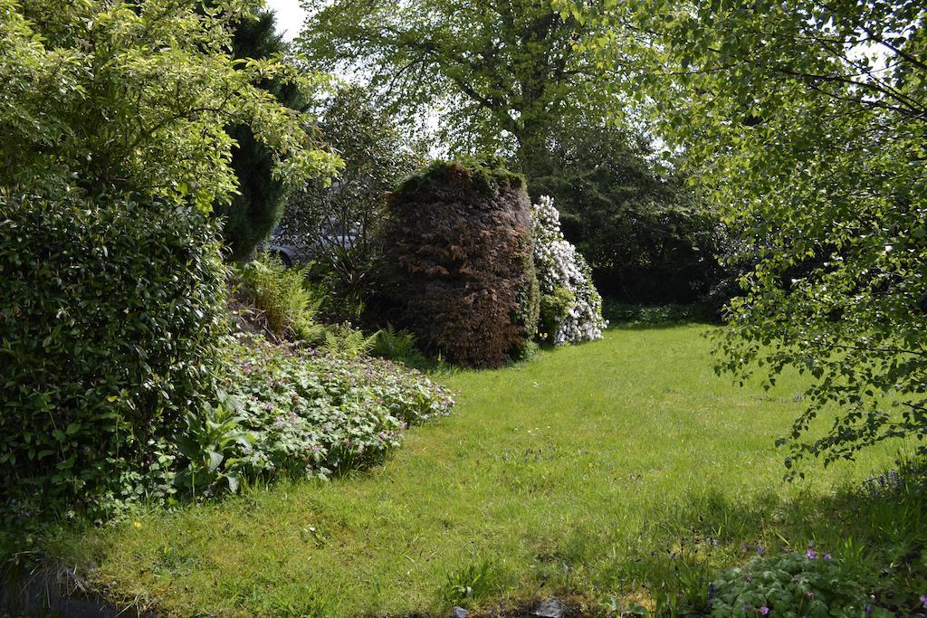 Guest house The Park Hill 4*