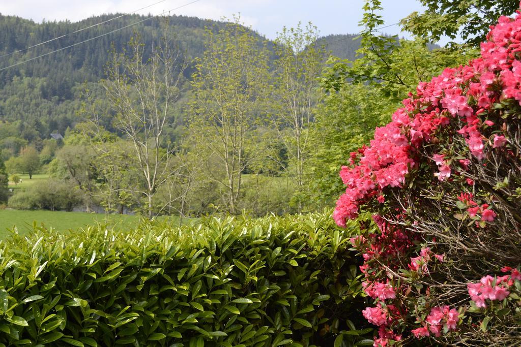 Guest house The Park Hill